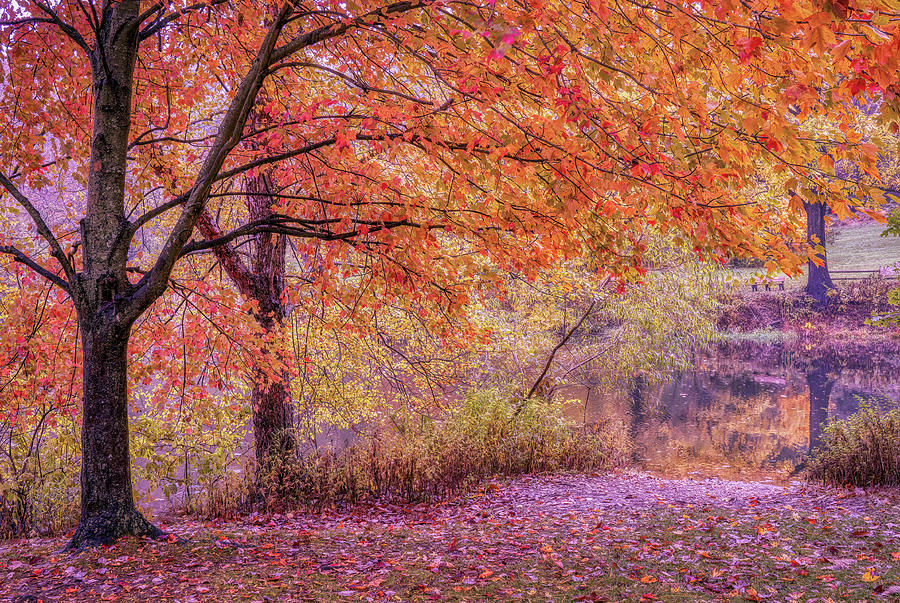 Entrance To The Lake In Autumn Photograph by Gary Slawsky