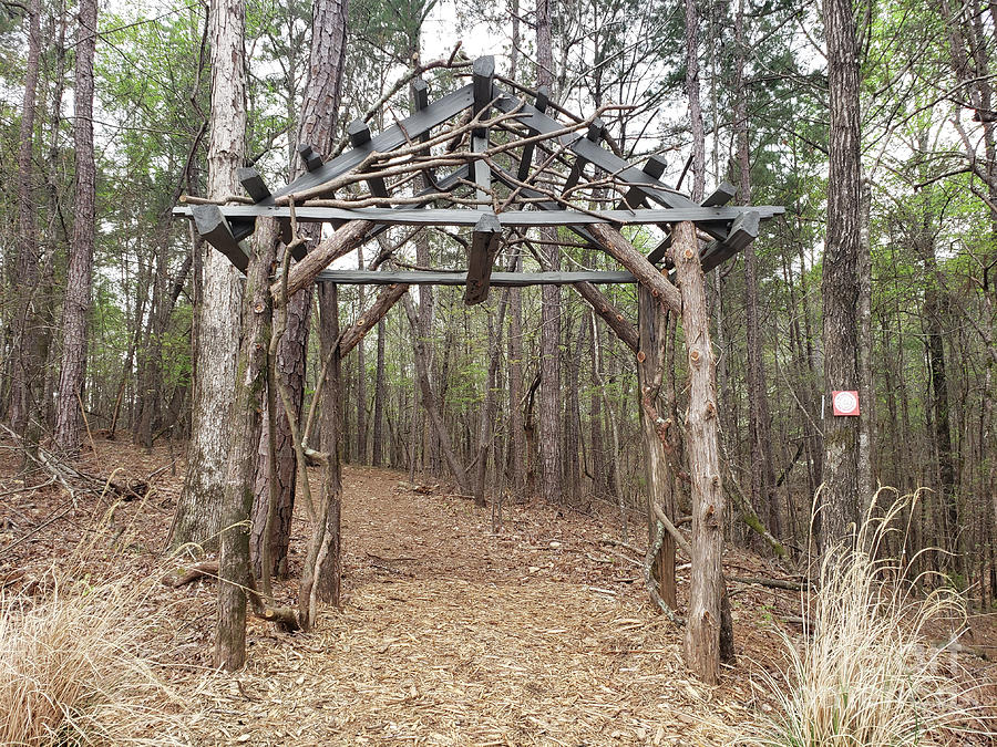 Entrance To The Woodlands Photograph