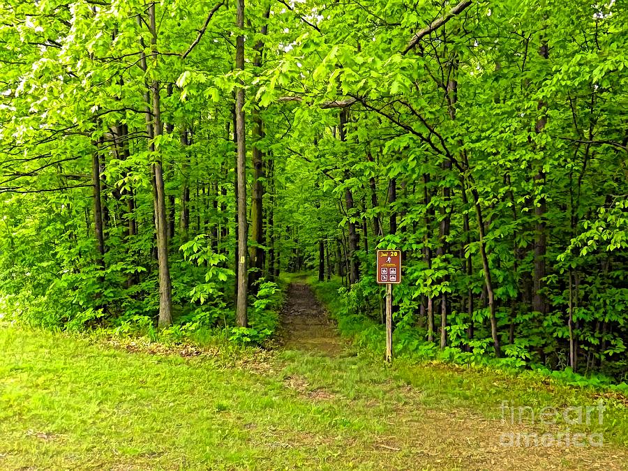 Entrance to Trail 20 at Letchworth State Park Clear Day Painterly Effect Photograph by Rose Santuci-Sofranko