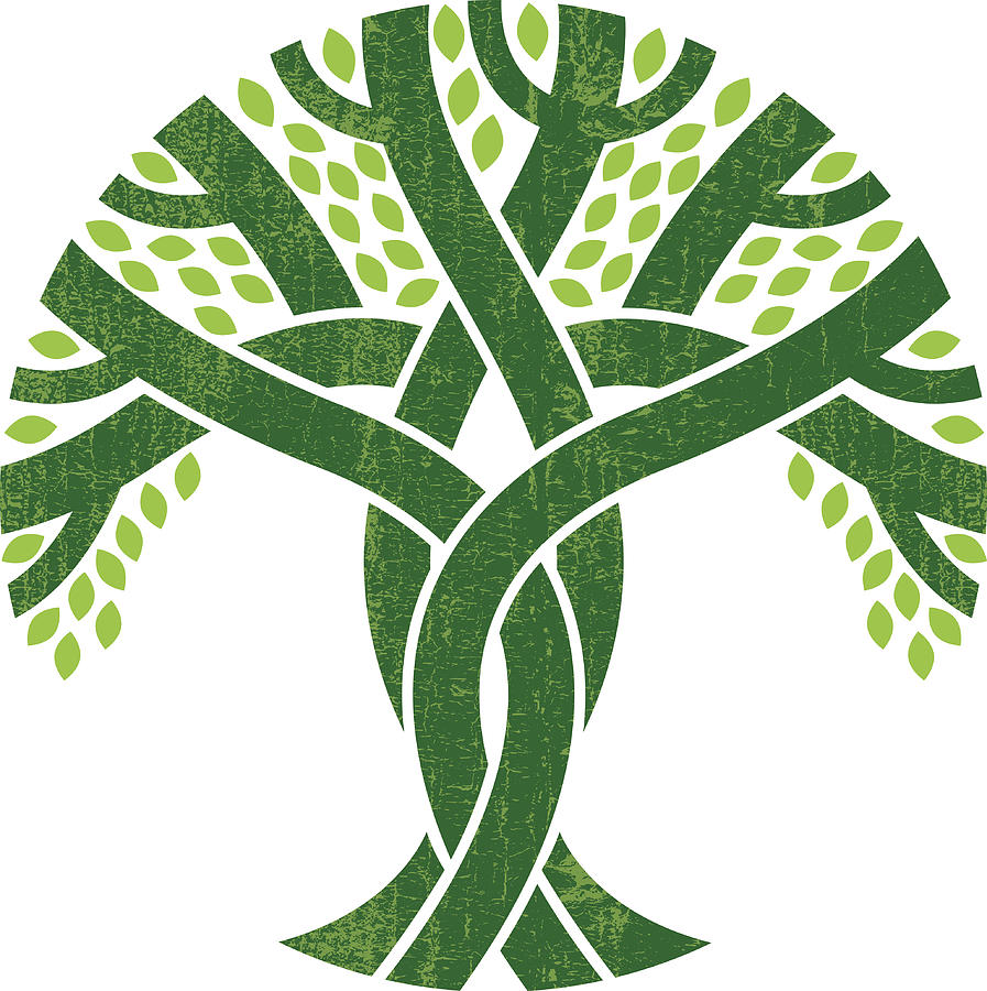 Entwined tree logo illustration Drawing by Jonathan Woodcock