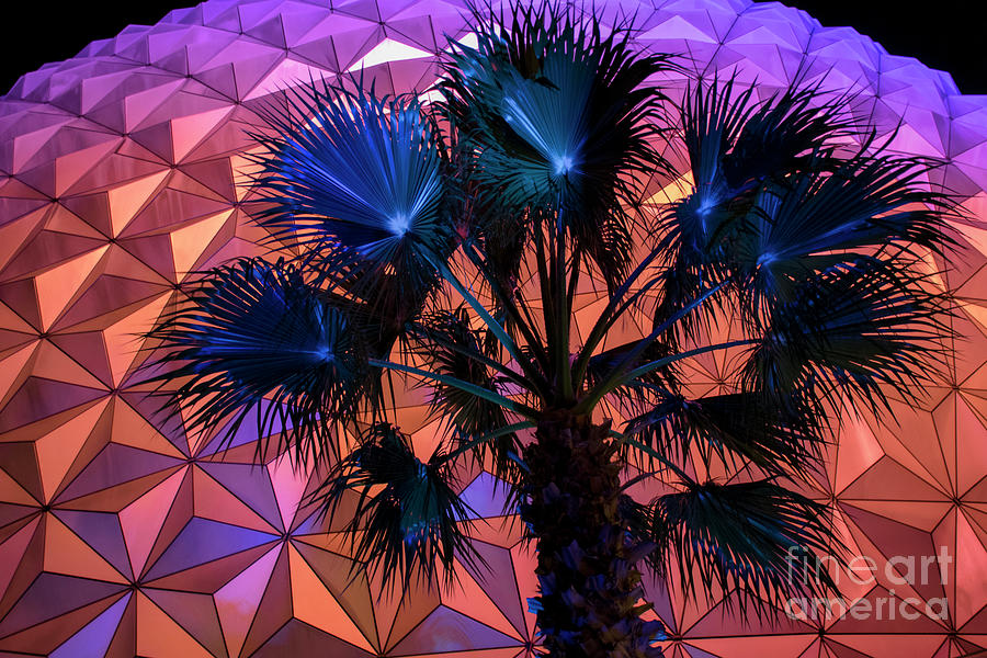 Epcot And Palms Photograph