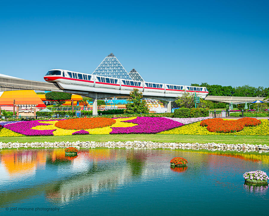 Epcot Flower and Garden Photograph by Joel McCune Pixels