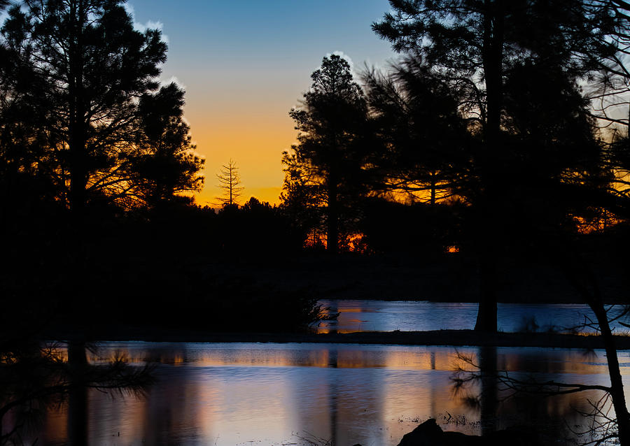 Ephemeral Pond At Dawn, Buffalo Park Photograph by Jim Wilce