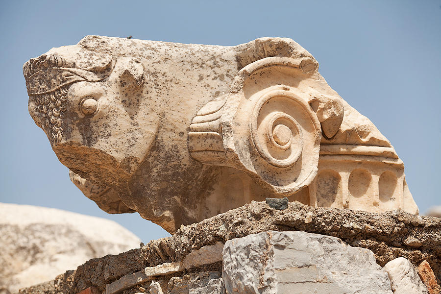 Ephesus Turkey Photograph by Slovegrove
