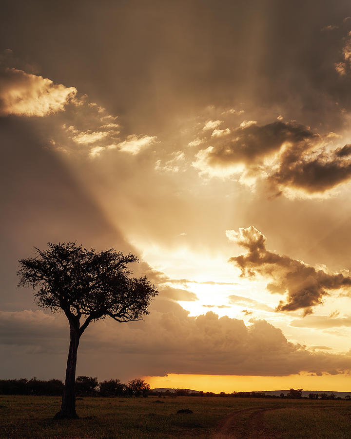 Epic African sunset Photograph by Murray Rudd