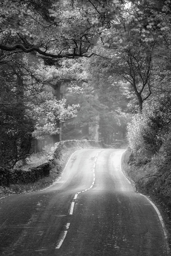 Epic landscape image of road winding through vibrant Autumn Dodd ...