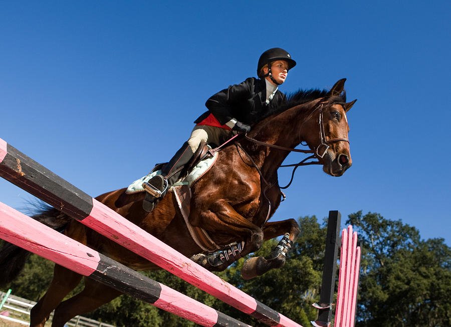 Equestrian show jumping Photograph by Nycshooter