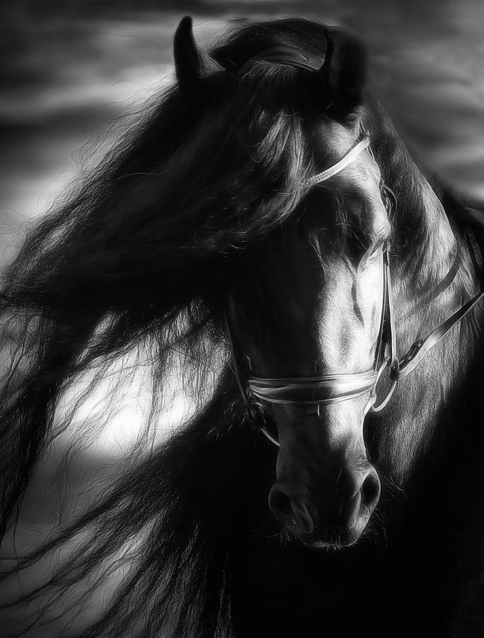 Equestrian Storms Photograph by Athena Mckinzie