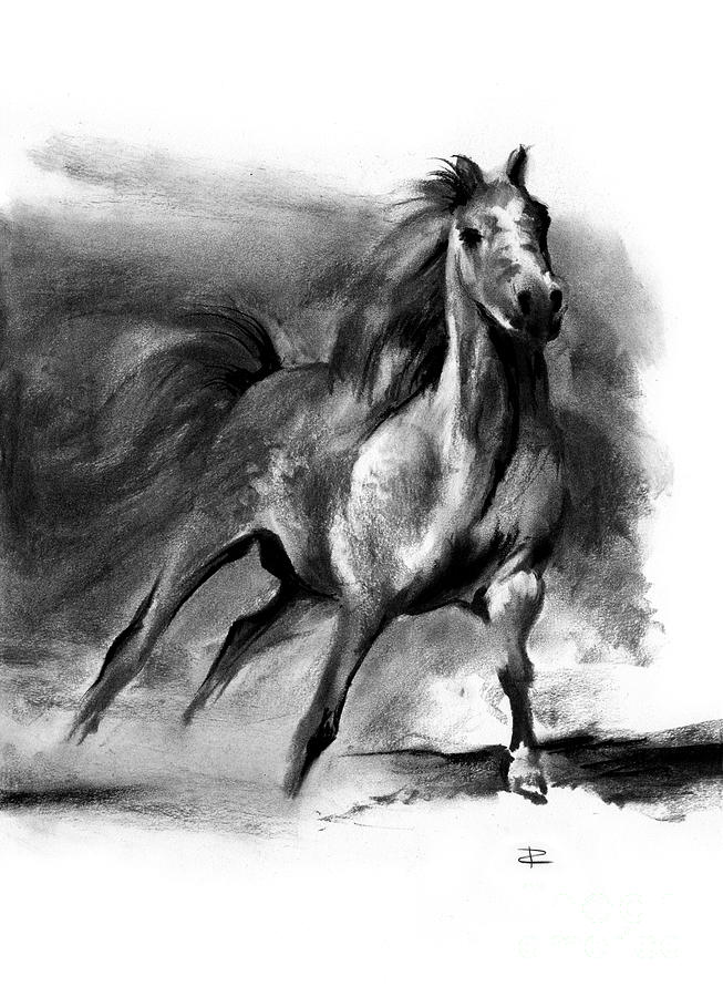 Equine II Drawing