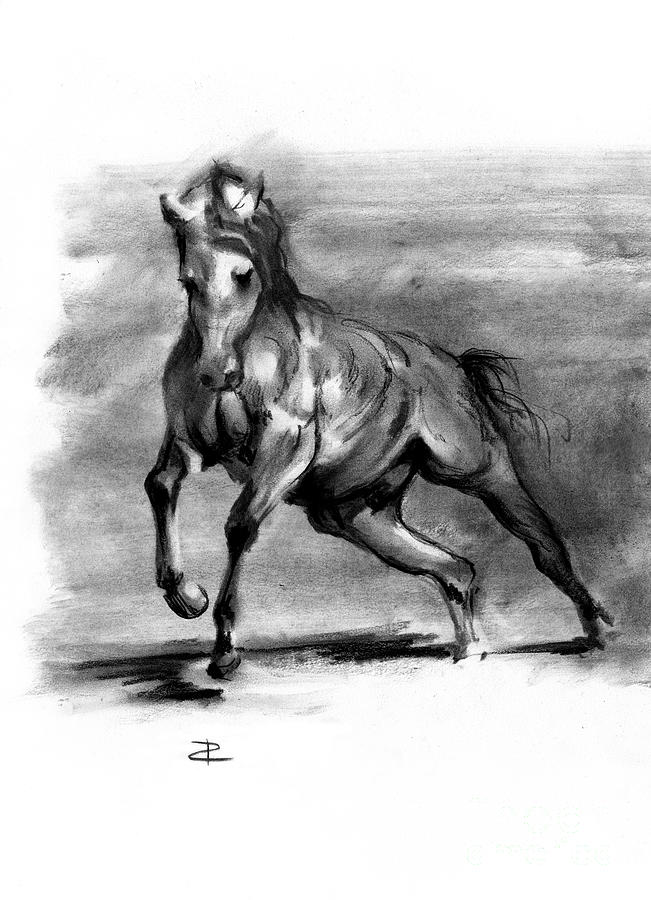 Equine III Drawing by Paul Davenport