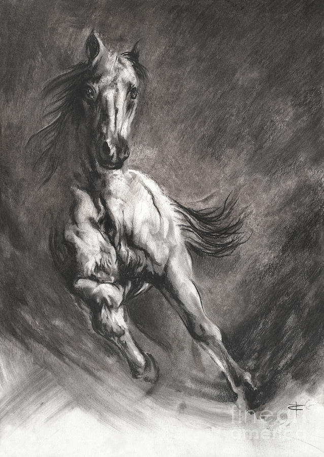 equine IV Drawing by Paul Davenport