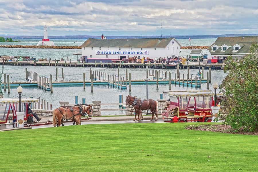 Equus Is Latin For Horse. No Vehicles Are Allowed On Mackinac Island, Only Horses And Bicycles. Photograph by Bijan Pirnia