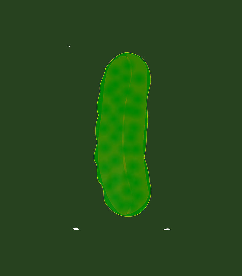 Er National Pickle Day Fun Dill Pickle_1 Digital Art by Wassim Leonie