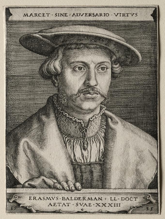 Erasmus Balderman 1535 Barthel Beham Painting by MotionAge Designs