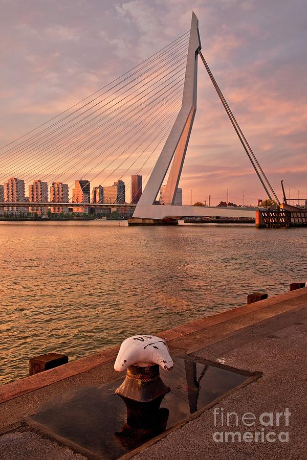 Erasmus Bridge And City Skyline, Rotterdam, The Netherlands - Vertical Photograph by Philip Preston