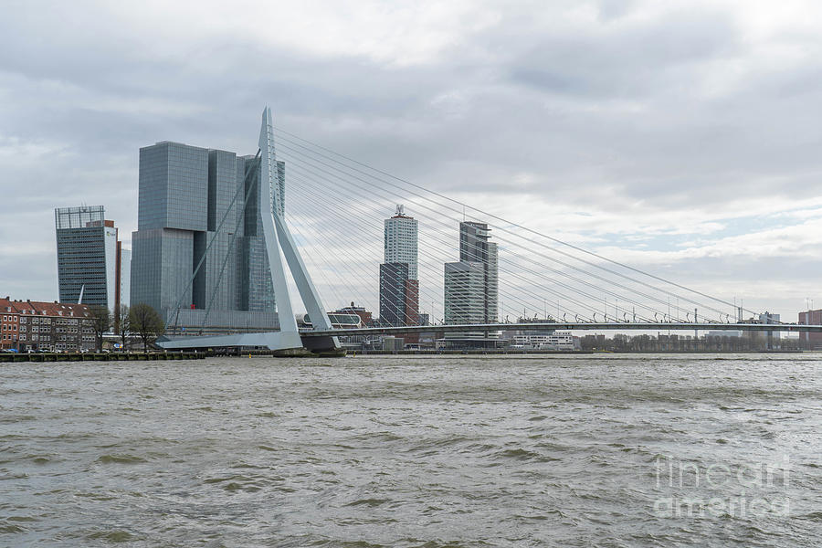 erasmus bridge