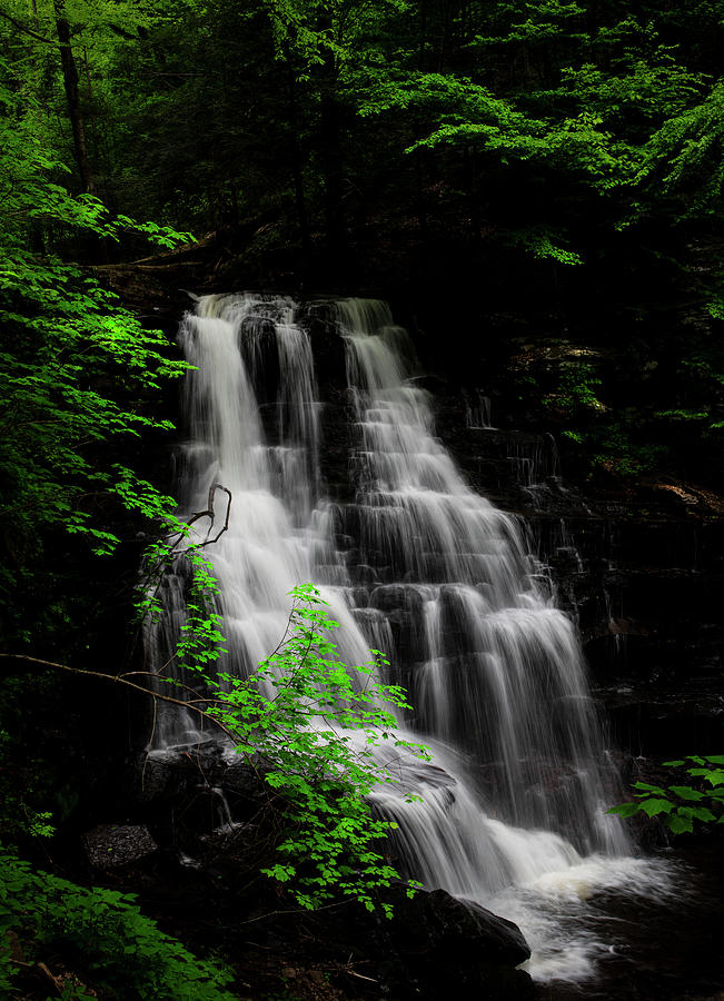 Erie Falls Ricketts Glen Green Leaves Photograph by Dan Sproul