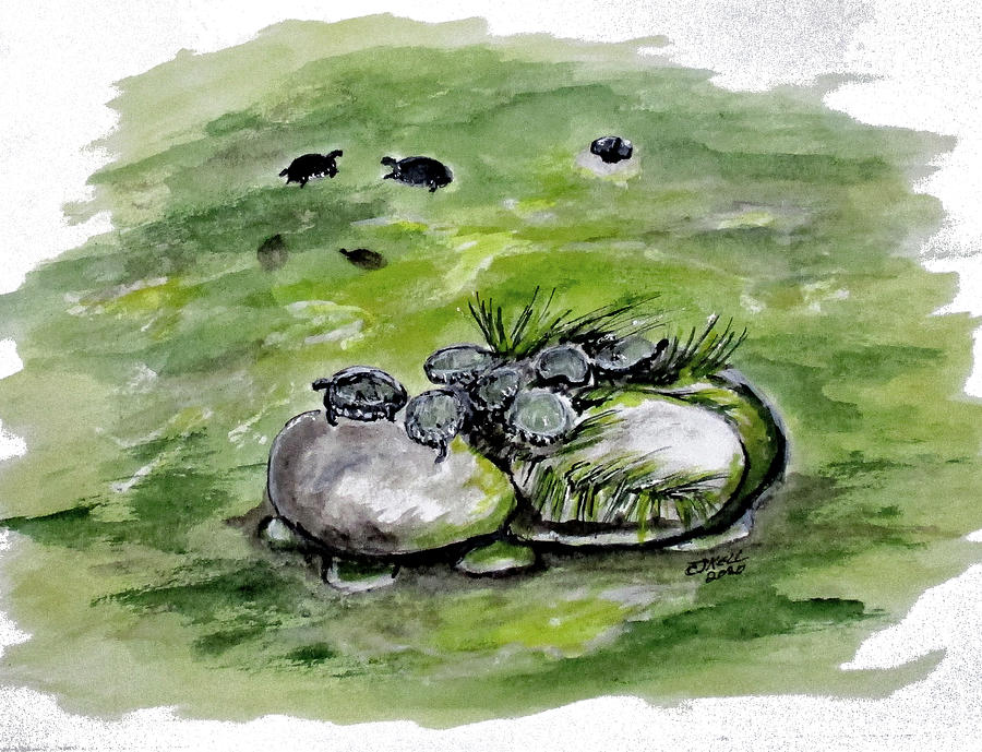 Erikas Turtles Painting by Clyde J Kell