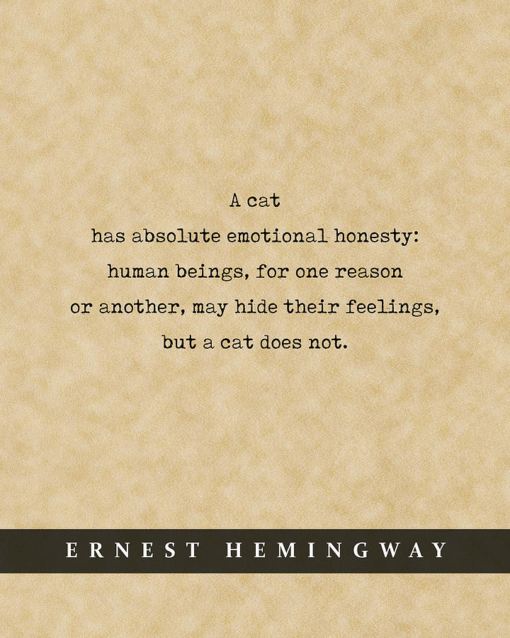 Ernest Hemingway Cat Quote 03 - Literary Poster - Book Lover Gifts Mixed Media by Studio Grafiikka
