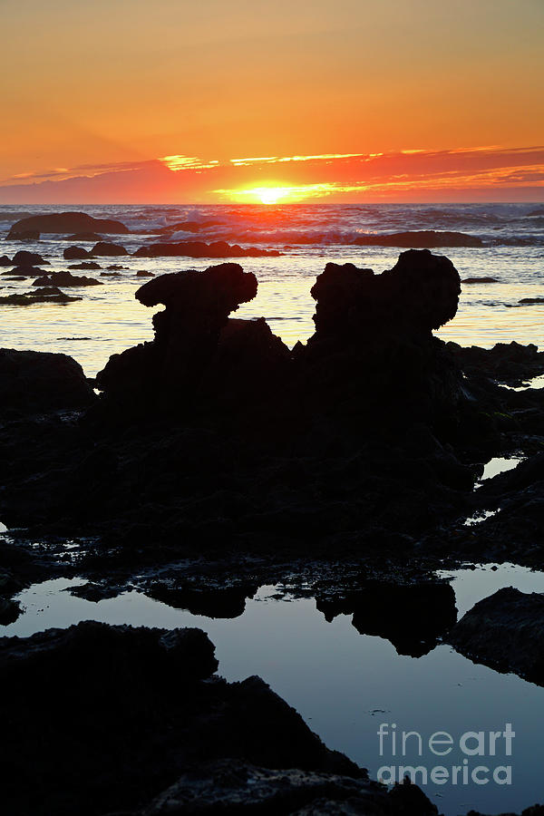 Eroded Rocks at Low Tide at Sunset Portugal Photograph by James Brunker