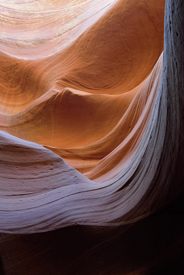 Eroded sandstone wave, Lower Antelope Canyon, Hasdestwazi, LeChee Chapter, Navajo Nation, Arizona Photograph by Kevin Oke