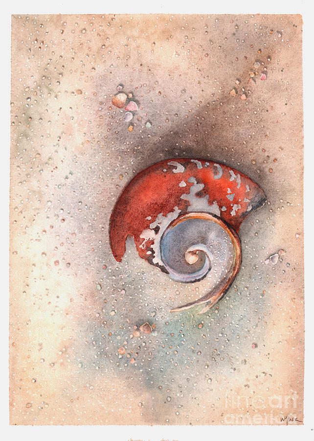 Eroded Shell Painting by Hilda Wagner