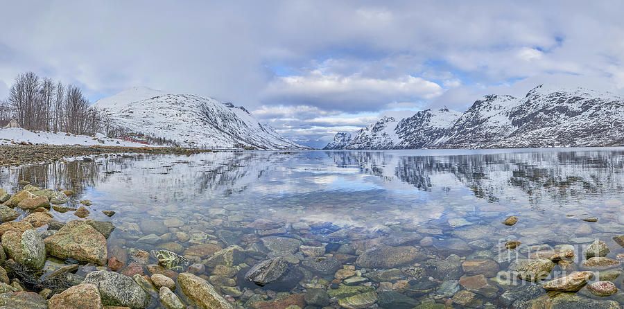 Ersfjordbotn Fjord Photograph by Brian Kamprath
