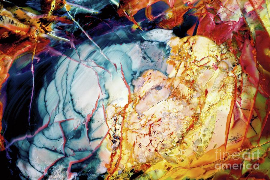 Eruption Photograph by Eric Kyle