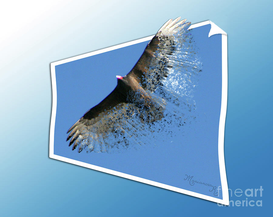 Bird Digital Art - Escaping Gravity by Mariarosa Rockefeller