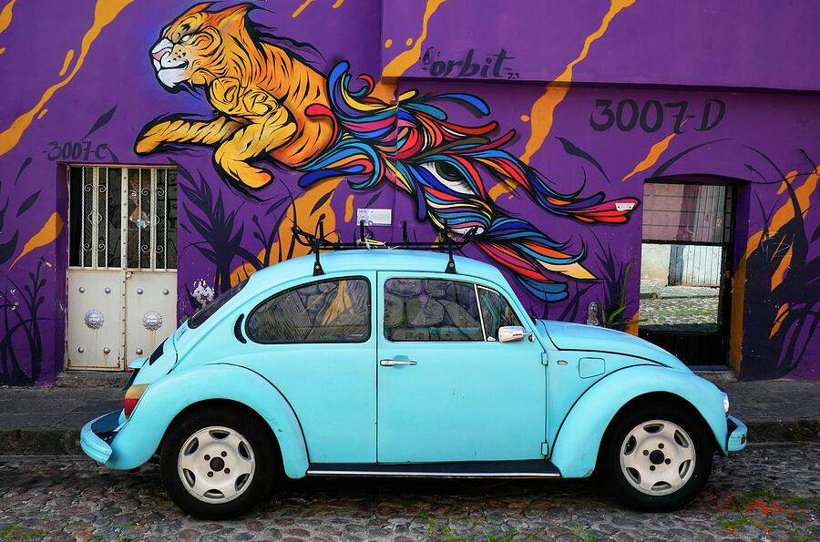 Escarabajo Azul Photograph by Skip Hunt Escarabajo Azul Photograph by Skip Hunt