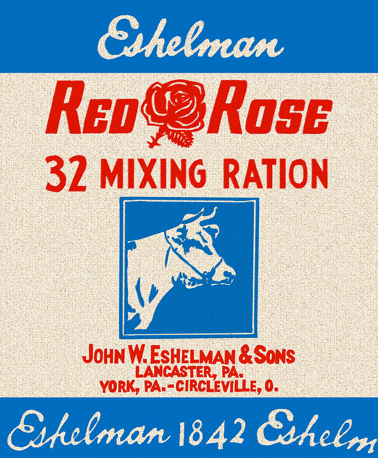 Eshelman Red Rose 32 Mixing Ration Feed Bag Drawing by Anne Thurston