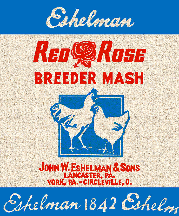 Eshelman Red Rose Breeder Mash Feed Feed Bag Drawing by Anne Thurston