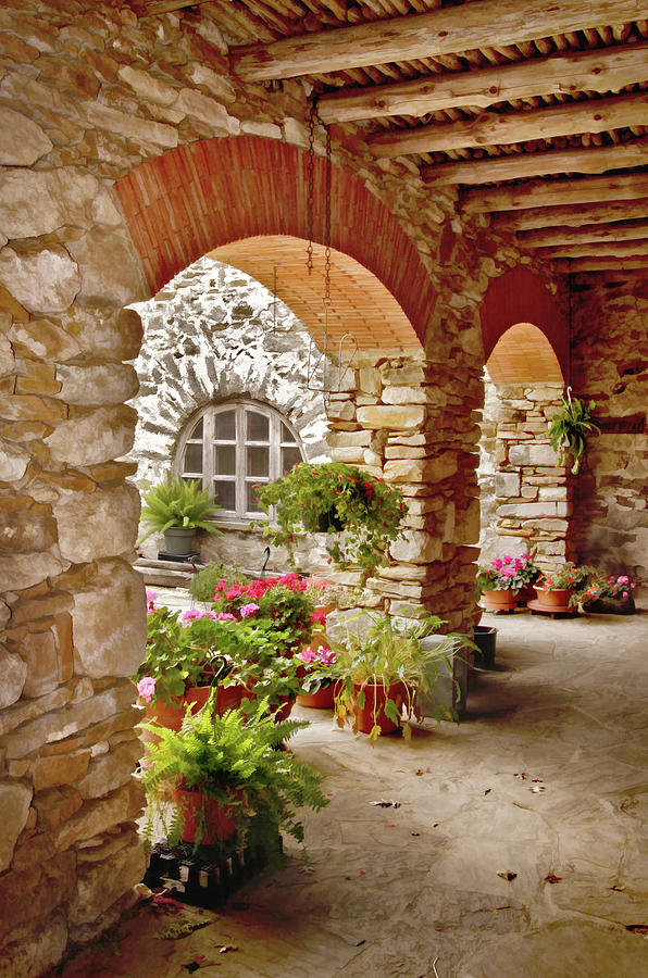 Espada Arches and Flowers Photograph by David and Carol Kelly