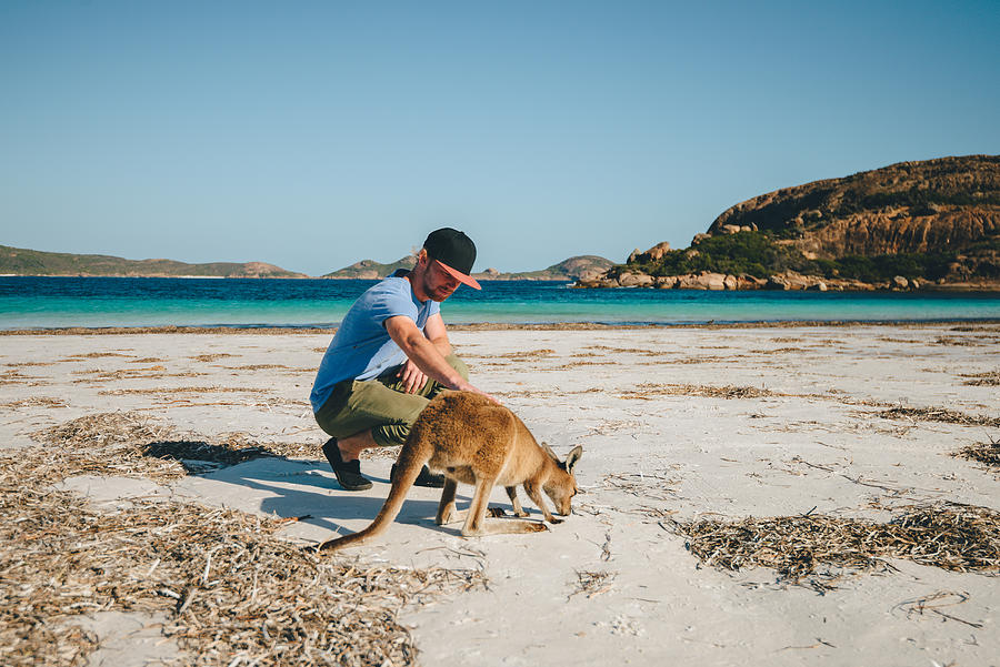 Esperance kangaroo and tourist Photograph by John Crux Photography