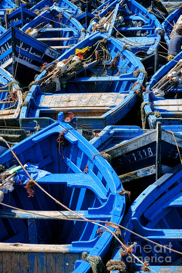Essaouira Blue Boats Photograph by Olivier Le Queinec