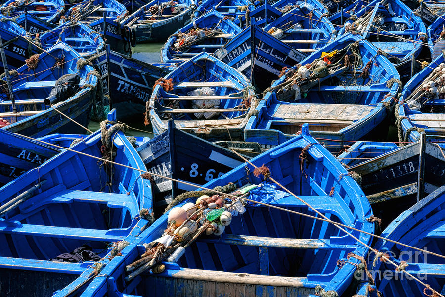 Essaouira Boats Photograph by Olivier Le Queinec