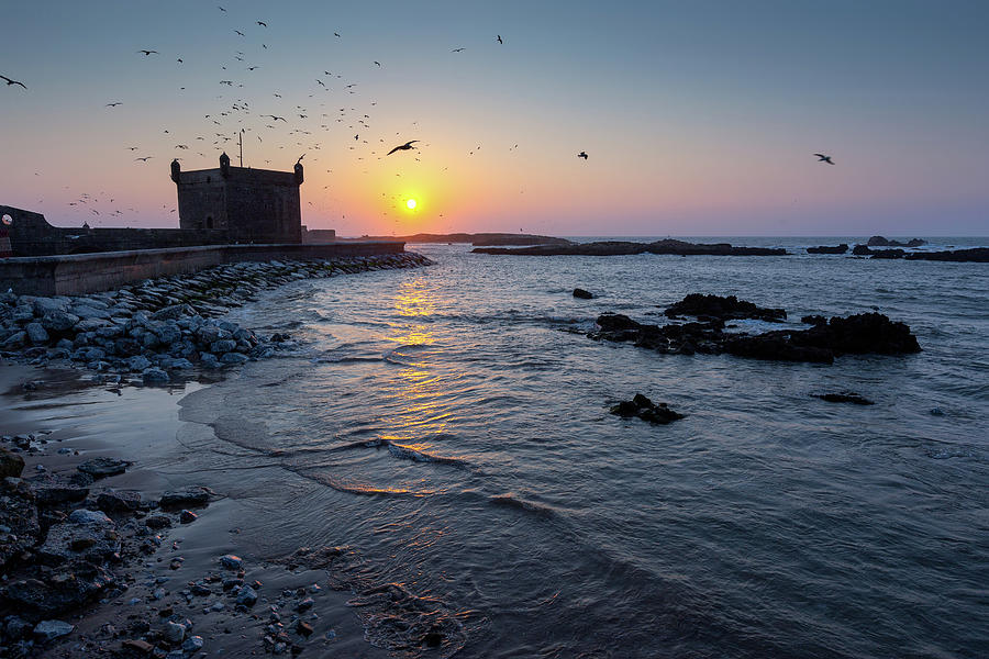 Essaouira fort at sunset with seagulls Photograph by Mikhail Kokhanchikov