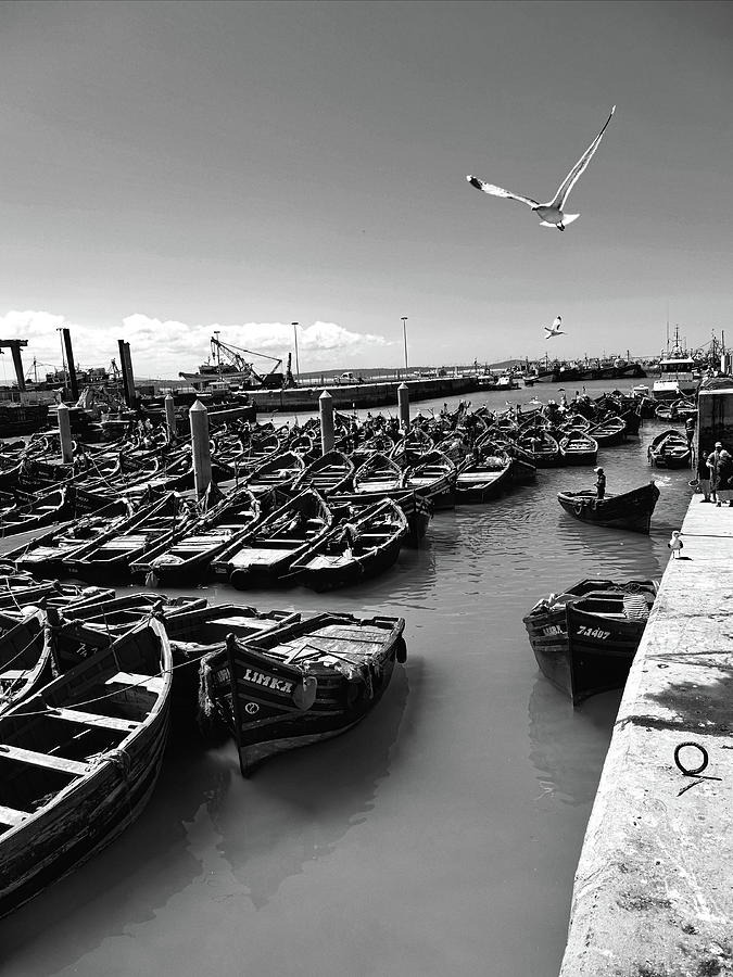 Seagull Photograph - Essaouira Morocco Fishing Boats by Brad Fike