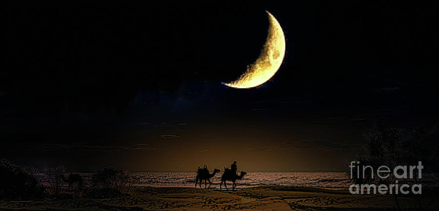 Essaouria Super Moon Camel Artistic Morocco  Photograph by Chuck Kuhn