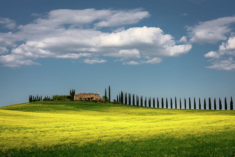 Essence of Tuscany Photograph by Ewa Jermakowicz