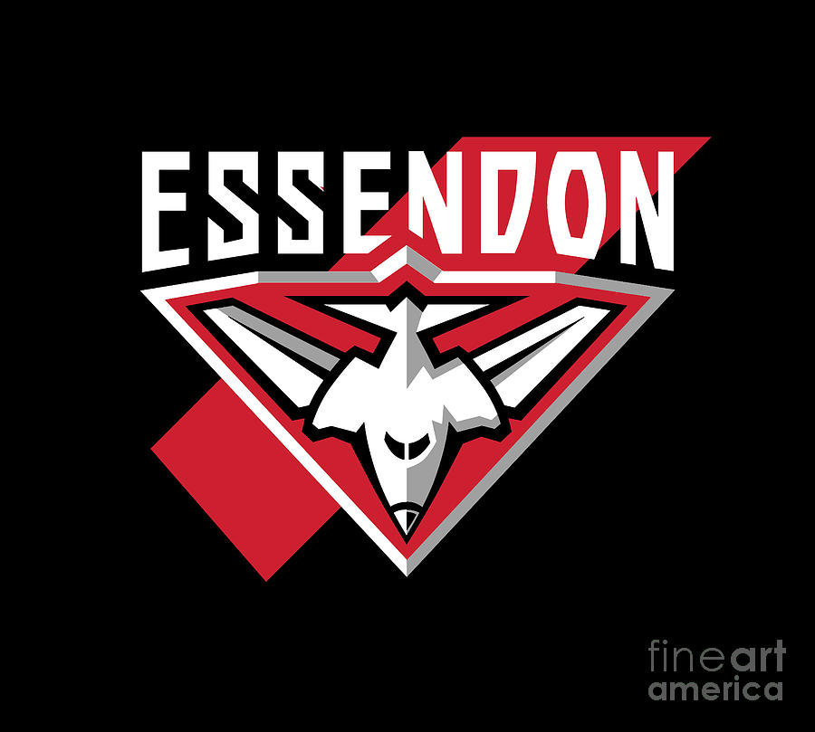 Essendon Football Club Digital Art by Ruth A Shook - Fine Art America