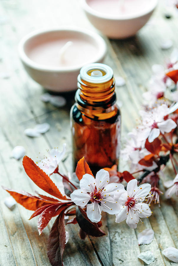 Essential massage oil with flower on rustic wooden background. N Photograph by Jelena Jovanovic