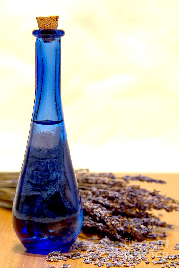 Essential Oil Blue Glass Bottle and Lavender  Photograph by Olivier Le Queinec