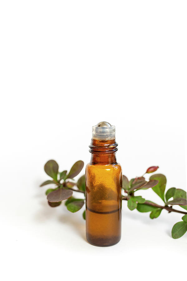 Bottle Photograph - Essential oil roll on bottle next to a Berberis thunbergii  by Dorin Puha