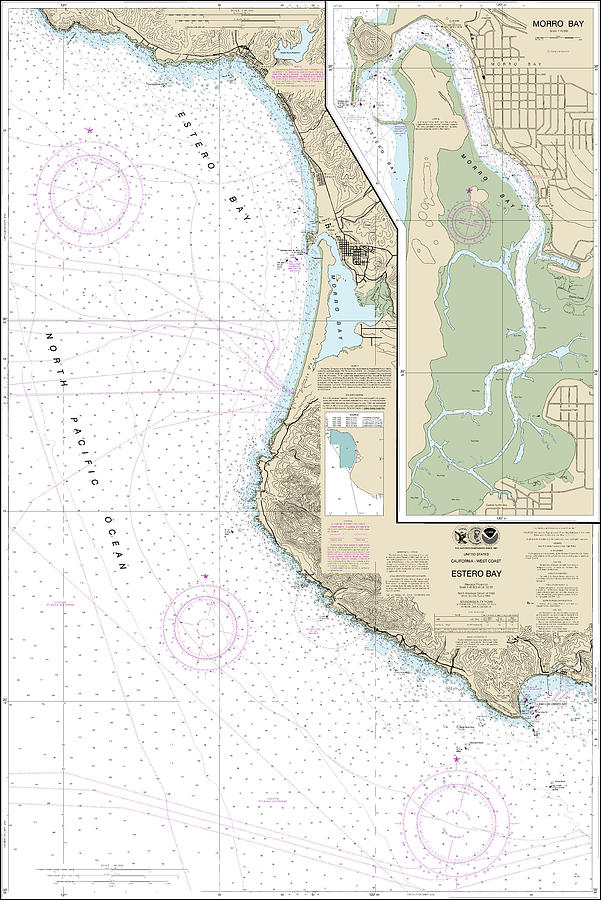 Estero Bay Nautical Chart 18703 No Borders John Gernatt 