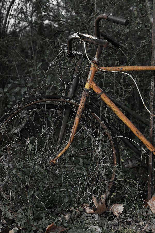 Eternal Bike Ride Photograph