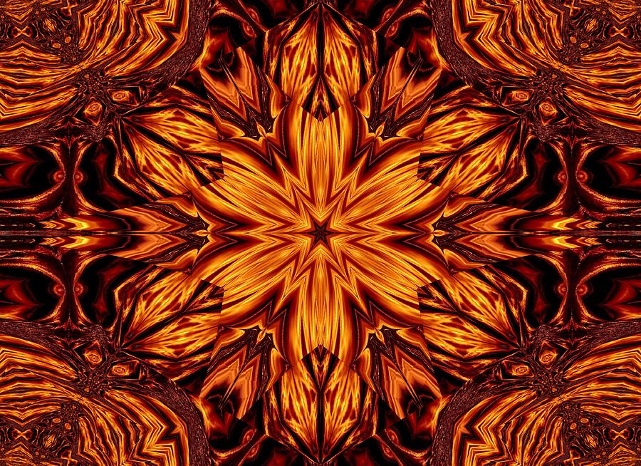 Eternal Flame Flowers 56 Digital Art By Sherrie Larch - Fine Art America