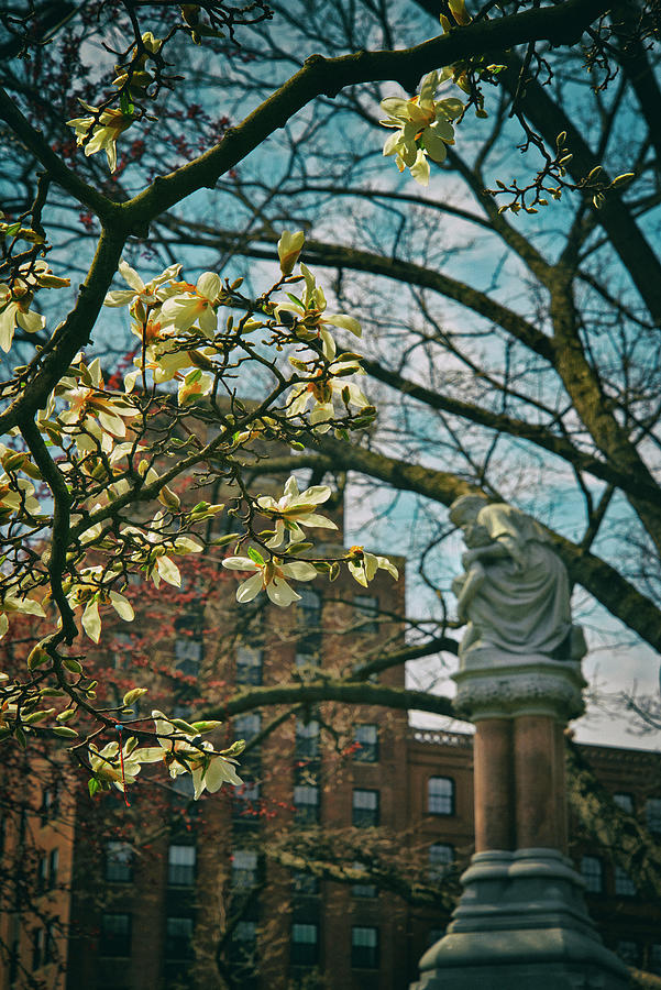 Ether Monument - Boston Public Garden Photograph by Joann Vitali