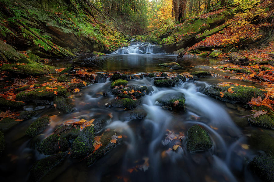 Ethereal Autumn Stream Photograph by Bill Wakeley