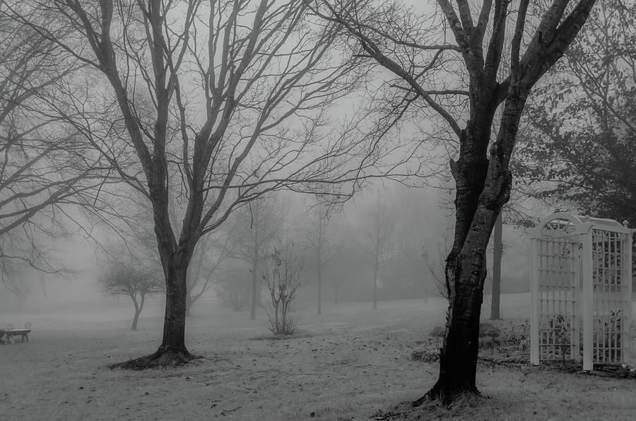 Ethereal Foggy Morning Photograph by Marcy Wielfaert